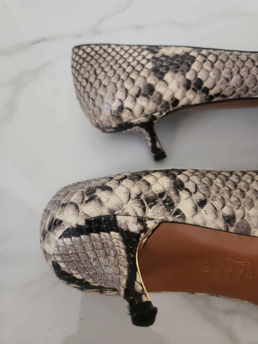 Tory Burch Women's Snake-Print Pointed Toe Pumps in Neutral